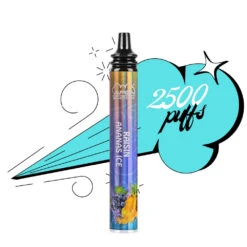 VAPEN EHOOK 2500 Puff Sans Nicotine - Raisin Ananas Ice -Magasin De Fournitures Pour Fumeurs vapen ehook 2500 puff sans nicotine raisin ananas ice 1